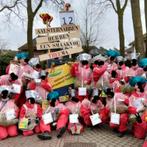 Carnavalskleding Grote Loopgroep, Kleding | Dames, Ophalen, Carnaval, Maat 42/44 (L), Onbekend