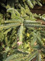 Grote volle (zilver?) Spar, Tuin en Terras, Planten | Bomen, Ophalen, Overige soorten, 400 cm of meer