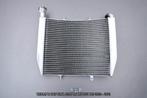 Radiateur AVDB TRIUMPH DAYTONA 675 / R / MOTO2 765 2013 2021