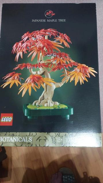 LEGO Japanse Esdoorn Bonsai Boompje - Nieuw! beschikbaar voor biedingen