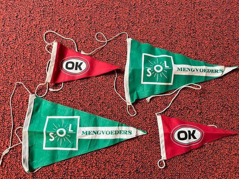 “Antiek” curiosa  Nieuw maar oud, Ophalen of Verzenden, Zo goed als nieuw
