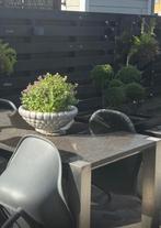 Grote tuintafel., Ophalen, Zo goed als nieuw
