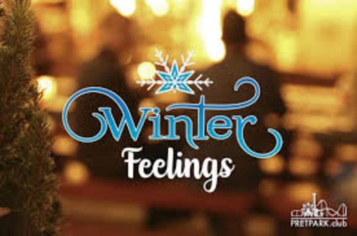 1 kaartje voor winter toverland, Tickets en Kaartjes, Recreatie | Pretparken en Attractieparken, Eén persoon, Ticket of Toegangskaart