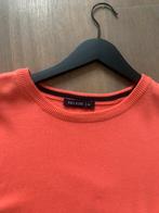 Truien maat xl nieuw model, Ophalen of Verzenden, Nieuw, Maat 56/58 (XL), Oranje