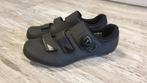 Shimano RP4 Fietsschoenen Maat 42 Nieuw!, Ophalen, Nieuw, Overige maten, Schoenen