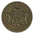 PENNING VPK 1959 Niel Steenbergen : Carnaval, Verzenden, Brons, Nederland