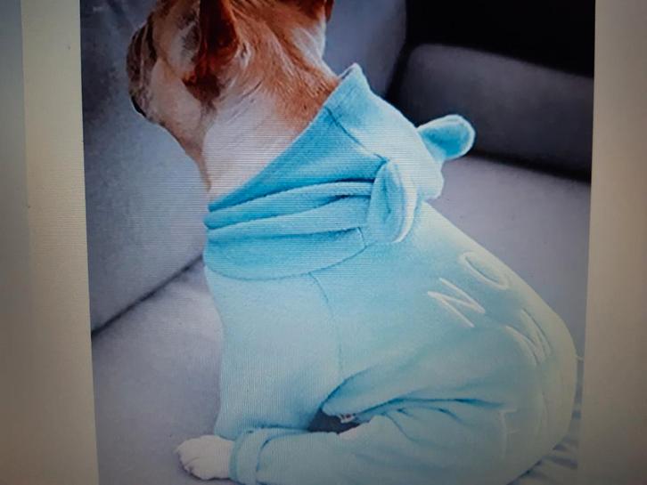 Hond/puppy/franse bulldog fleece pak nieuw, Dieren en Toebehoren, Hondenkleding, Nieuw, Ophalen of Verzenden