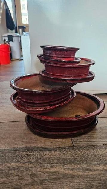 Complete set bonsai schalen 4 stuks beschikbaar voor biedingen