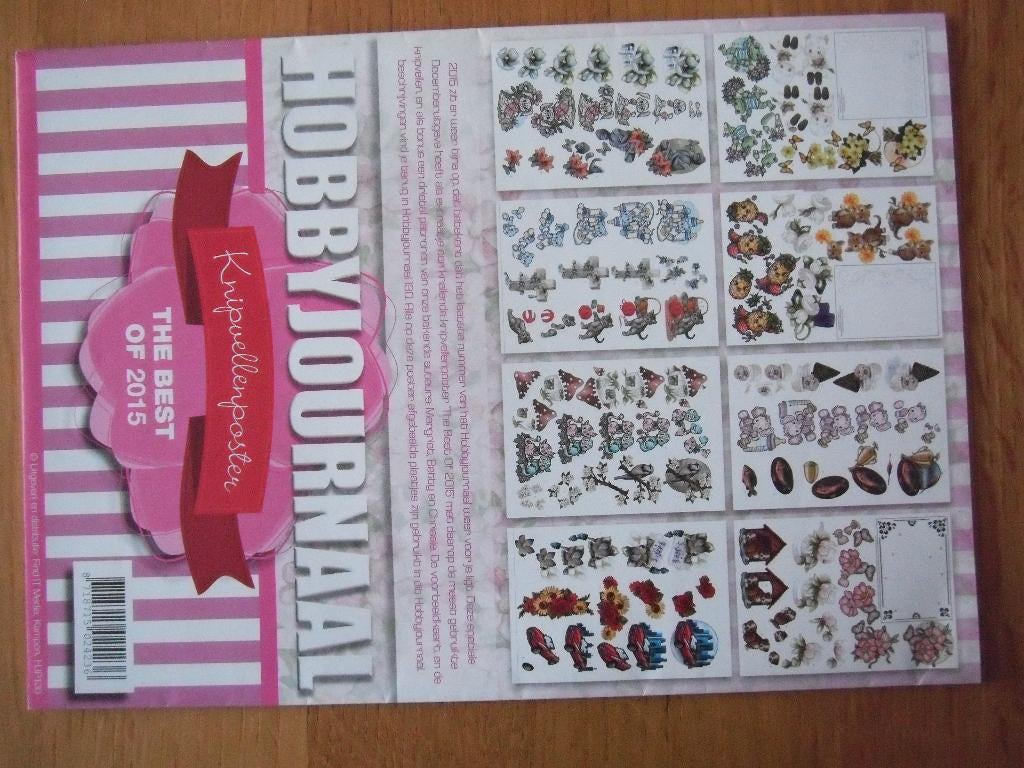 Hobbyjournaal knipvellen poster - NIEUW, Ophalen of Verzenden, Nieuw, Overige thema's, Knipvel