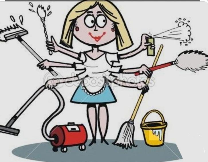 Schoonmaak duizendpoot gezocht in Gemert, Diensten en Vakmensen, Huishoudelijke hulp