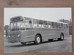 Foto BUS BBA Breda 934, Verzamelen, Verzenden, Gebruikt, Bus of Metro, Overige typen