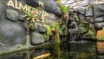 Korting entree Almere Jungle in Almere, Drie personen of meer, Kortingskaart