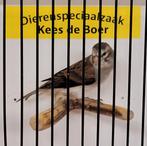 Bastaard alariovink x kanarie, Dieren en Toebehoren, Mannelijk, Geringd