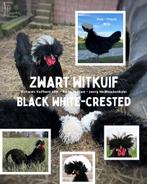 (Baard)Kuifhoen (Padua/Polish) kriel broedeieren, Geslacht onbekend, Kip