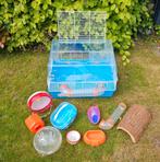 Hamsterkooi met toebehoren, Minder dan 60 cm, Kooi, Minder dan 75 cm, Ophalen of Verzenden