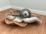 Schaal teak hout met accessoires, Antiek en Kunst, Ophalen