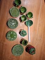Portugees koolbladeren groen aardewerk, Ophalen, Nieuw, Overige stijlen, Kop(pen) en/of Schotel(s)