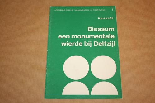 Biessum - Een monumentale wierde bij Delfzijl, Boeken, Geschiedenis | Stad en Regio, Nieuw, 20e eeuw of later, Ophalen of Verzenden
