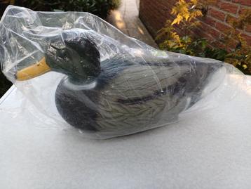 Lokeend / lokeenden (wilde eend) zéér mooi! beschikbaar voor biedingen