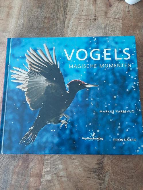 Markus Varesvuo - Vogels, magische momenten, Boeken, Dieren en Huisdieren, Zo goed als nieuw, Vogels, Ophalen of Verzenden