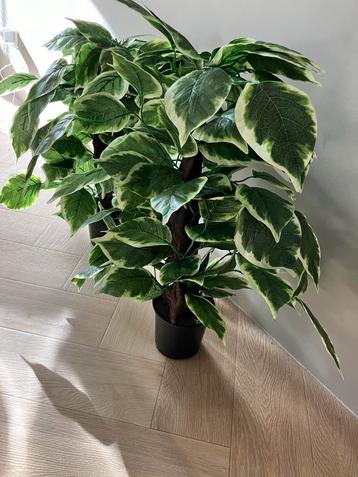 70cm Kunstplant beschikbaar voor biedingen