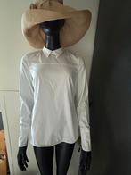 Drykorn wit mooi eenvoudig blousje mt 3 (36-38), Wit, Ophalen of Verzenden, Zo goed als nieuw, Ralph Lauren