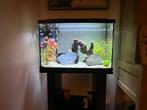 Aquarium met toebehoren, Dieren en Toebehoren, Vissen | Aquaria en Toebehoren, Ophalen, Gebruikt, Gevuld zoetwateraquarium