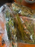 Kunstbloemen en -takken, Ophalen of Verzenden, Nieuw, Binnen