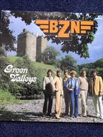 BZN - Green Valleys, Ophalen of Verzenden, 1980 tot 2000, Zo goed als nieuw, 12 inch