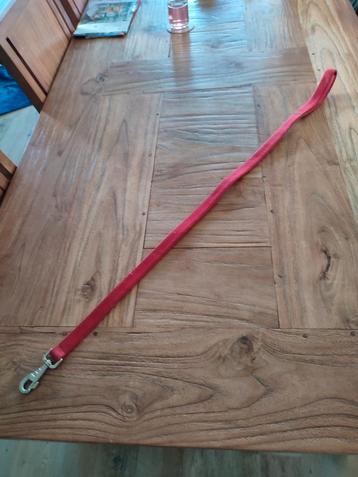 Stevige hondenriem beschikbaar voor biedingen