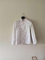 Kokskleding voor horeca opleiding, Kleding | Heren, Greiff, Halswijdte 38 (S) of kleiner, Zwart, Ophalen of Verzenden