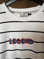 Vingino Kalvijn Editie Maat 176, Ophalen of Verzenden, Zo goed als nieuw, Vingino, Shirt of Longsleeve