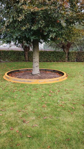 Cortenstaal Boomring beschikbaar voor biedingen