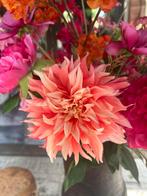 Nieuw zijden bloemen boeket Fuchsia, Ophalen of Verzenden, Nieuw, Binnen
