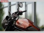 HONDA CMX 1100 REBEL (bj 2022), 2 cilinders, HONDA, Motorrijbewijs A, Bedrijf