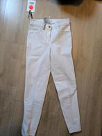 Eurostar Euro-star Easy Rider 36 wit rijbroek paardrijbroek, Ophalen of Verzenden, Nieuw, Dames, Onderkleding