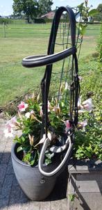 IMPERIAL RIDING hoofdstel. Zwart leer. Wit onderlegd. FULL., Dieren en Toebehoren, Ophalen of Verzenden, Zo goed als nieuw, Dressuur