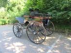 Presentatiewagen in zeer nette staat, Gebruikt, Overige typen, Paard