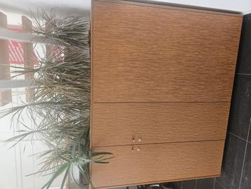 Kast met slot incl plantenbak beschikbaar voor biedingen