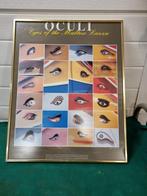 schilderij prent oculi ogen, Ophalen of Verzenden, 'T Olde Gre-j, Info@toldegrej.nl, Endepoelstraat 20f Didam