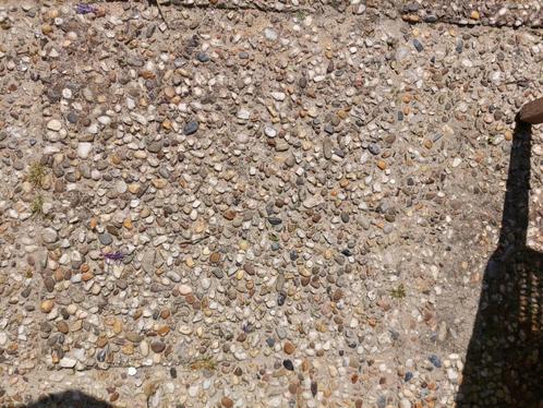 Grindtegel, tuintegel, tegel 50 x 50 cm gratis, Tuin en Terras, Tegels en Klinkers, Gebruikt, Terrastegels, Beton, 10 m² of meer