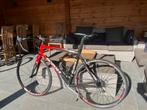 Borgini Bavona, carbon race, mt 56, Fietsen en Brommers, Fietsen | Racefietsen, 28 inch, Carbon, Zo goed als nieuw, Meer dan 20 versnellingen
