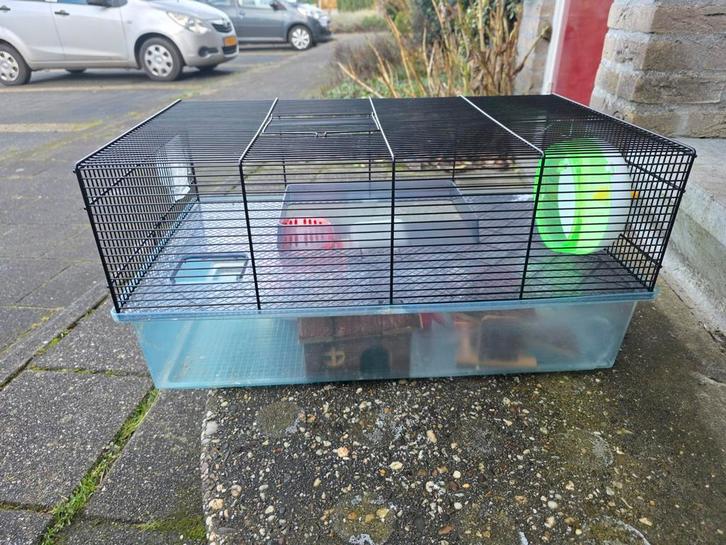 Hamster Double-Decker Cage Set – Excellent Condition!, Dieren en Toebehoren, Knaagdieren en Konijnen | Hokken en Kooien, Zo goed als nieuw