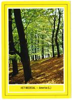 America Het Meerdal gelopen Ansichtkaart ( B2713 ), Ophalen of Verzenden, Gelopen, Limburg