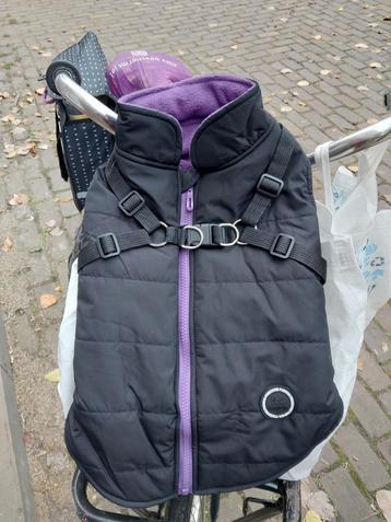 Hondenjasje beschikbaar voor biedingen