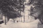 Ansichtkaart 1908 Doetinchem Laan naar Kruisberg, Ophalen of Verzenden, Voor 1920, Gelopen, Gelderland