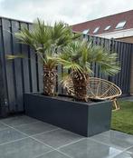 Plantenbakken, Ophalen, Info@plantenbakkenvanstaal.nl, Minder dan 30 cm, Rond
