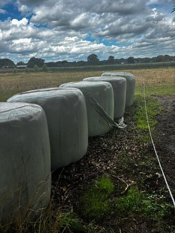 Hooibalen, ca. 2 jaar oud, veevoer, onkruidvrij, koopje beschikbaar voor biedingen