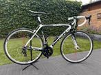 Bianchi Sempre Pro maat 54, Overige merken, Gebruikt, Carbon, Ophalen of Verzenden