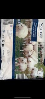 Vierseizoenen Wollen Dekbed 140x220 nieuw, Huis en Inrichting, Slaapkamer | Beddengoed, Eenpersoons, Wit, Nieuw, Ophalen of Verzenden